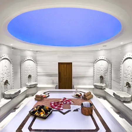 Elysium Thermal & Otel 4*